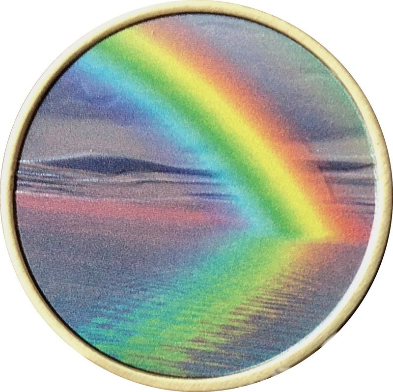 RecoveryChip Serenity Peace Within The Storm Color Rainbow Bronze Medallion Chip - Image 3